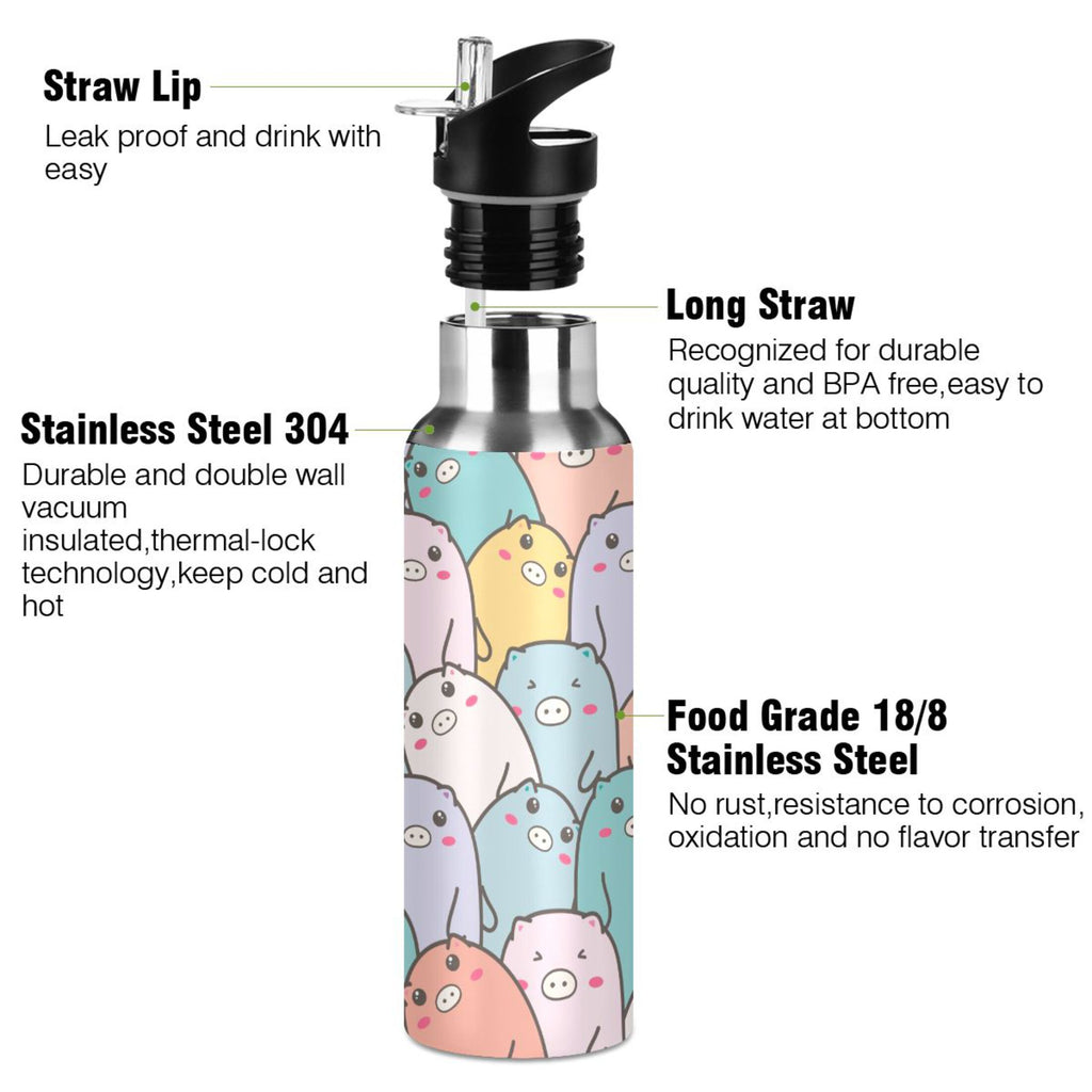Stainless Steel Vacuum Insulated Water Bottle with Straw Lid 20 OZ O624