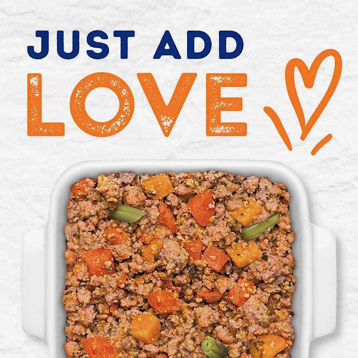Savory Duck & Pumpkin Recipe Wet Dog Food O36859
