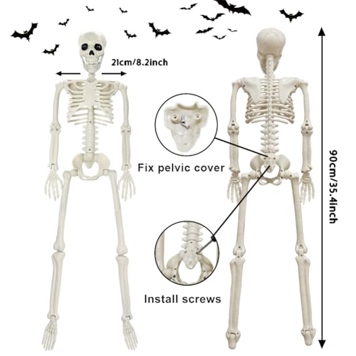 5.4ft/165cm Life Size Skeleton with Movable Joints Z9584