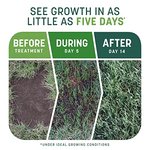 Sun and Shade Grass Mix 7 lb N13236