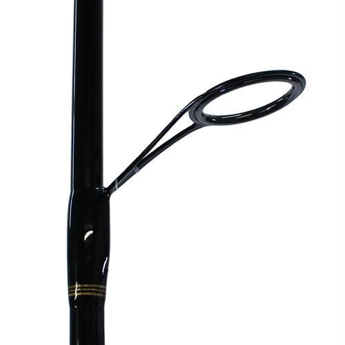 Saltwater Spinning Combo Z2503