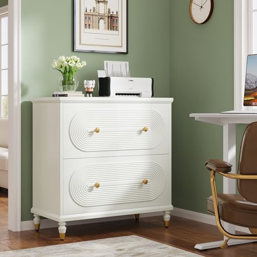 Gray 2-Drawer Wooden File Cabinet Y508