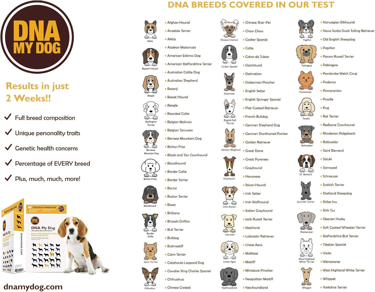 Canine Breed Identification Test G451275