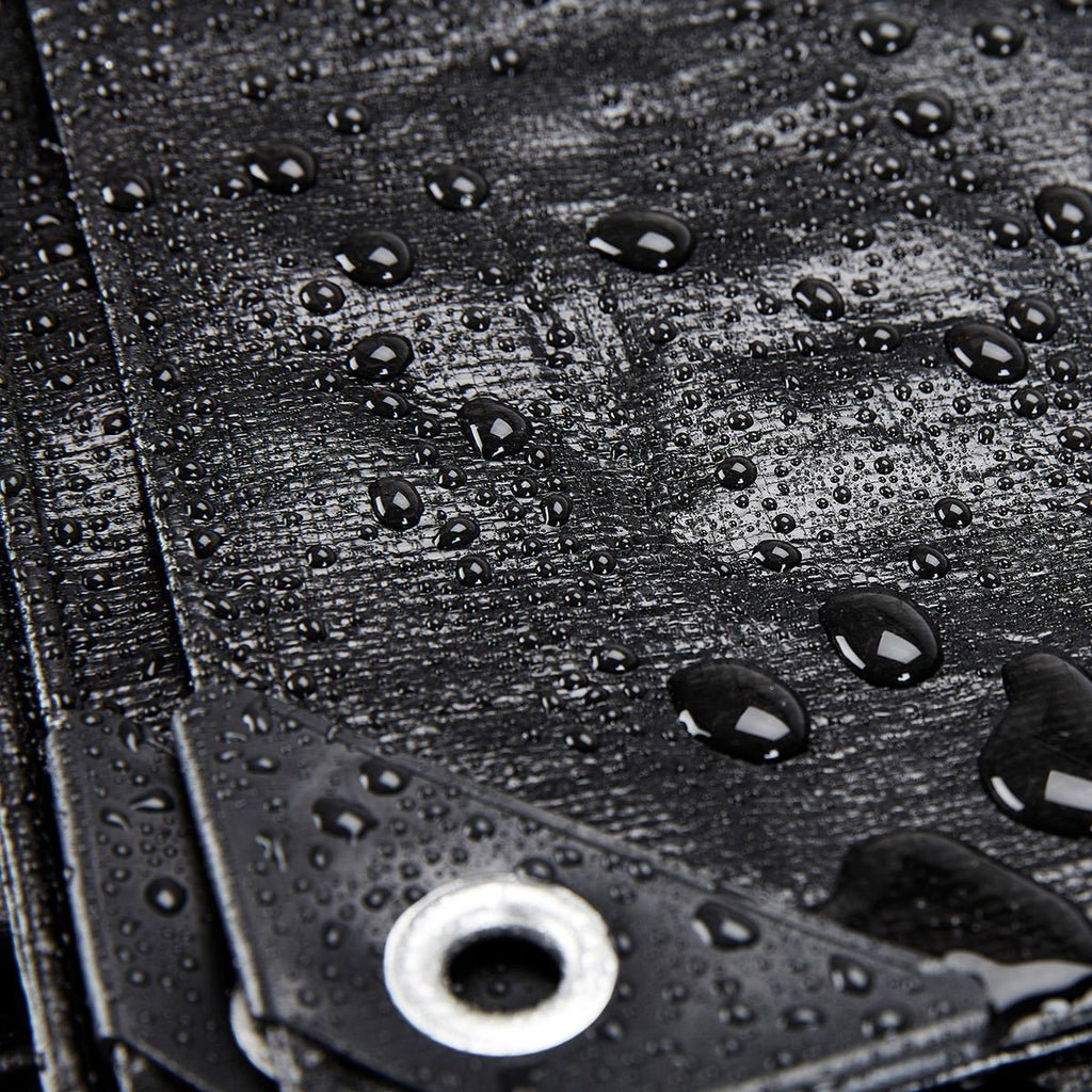20 ft. x 30 ft. Silver and Black Weather-Resistant Tarp B93195
