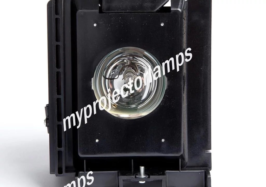 Projector Lamp with Module X490447