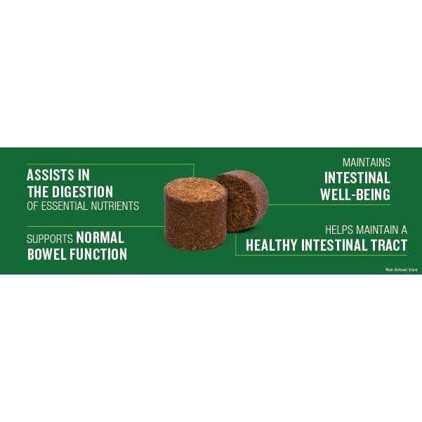 Probiotic Soft Chew Supplement for Dogs I827505