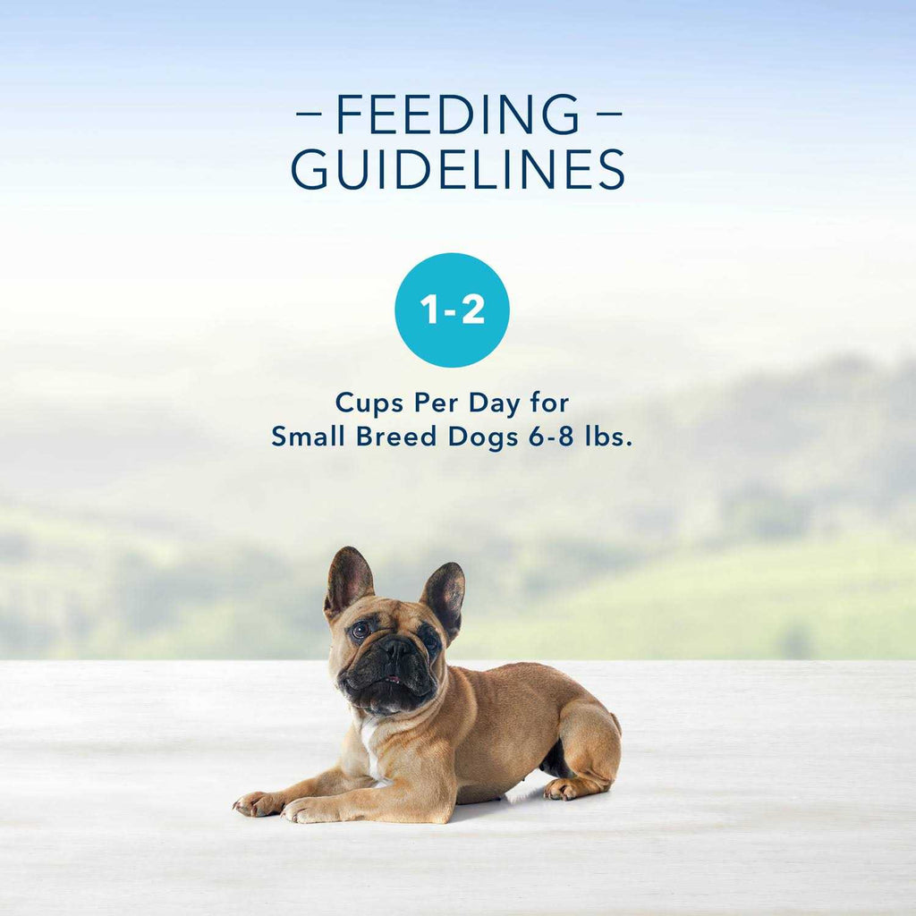 Chicken Flavor Pate Small Breed Dog Food C5562