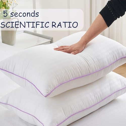 King Size Set of 2 Breathable Down Alternative Microfiber Pillows R369