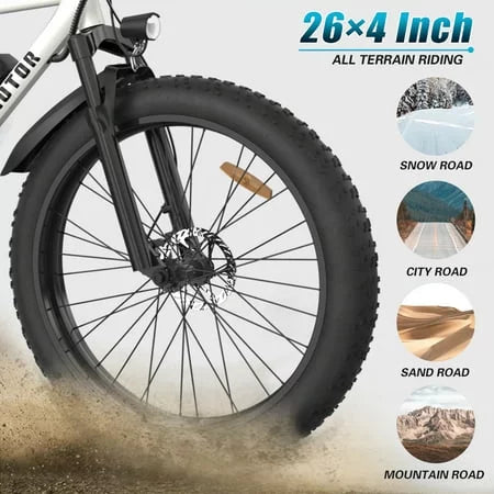 Electric Mountain Bike 750W 48V 13AH Fat Tire T805