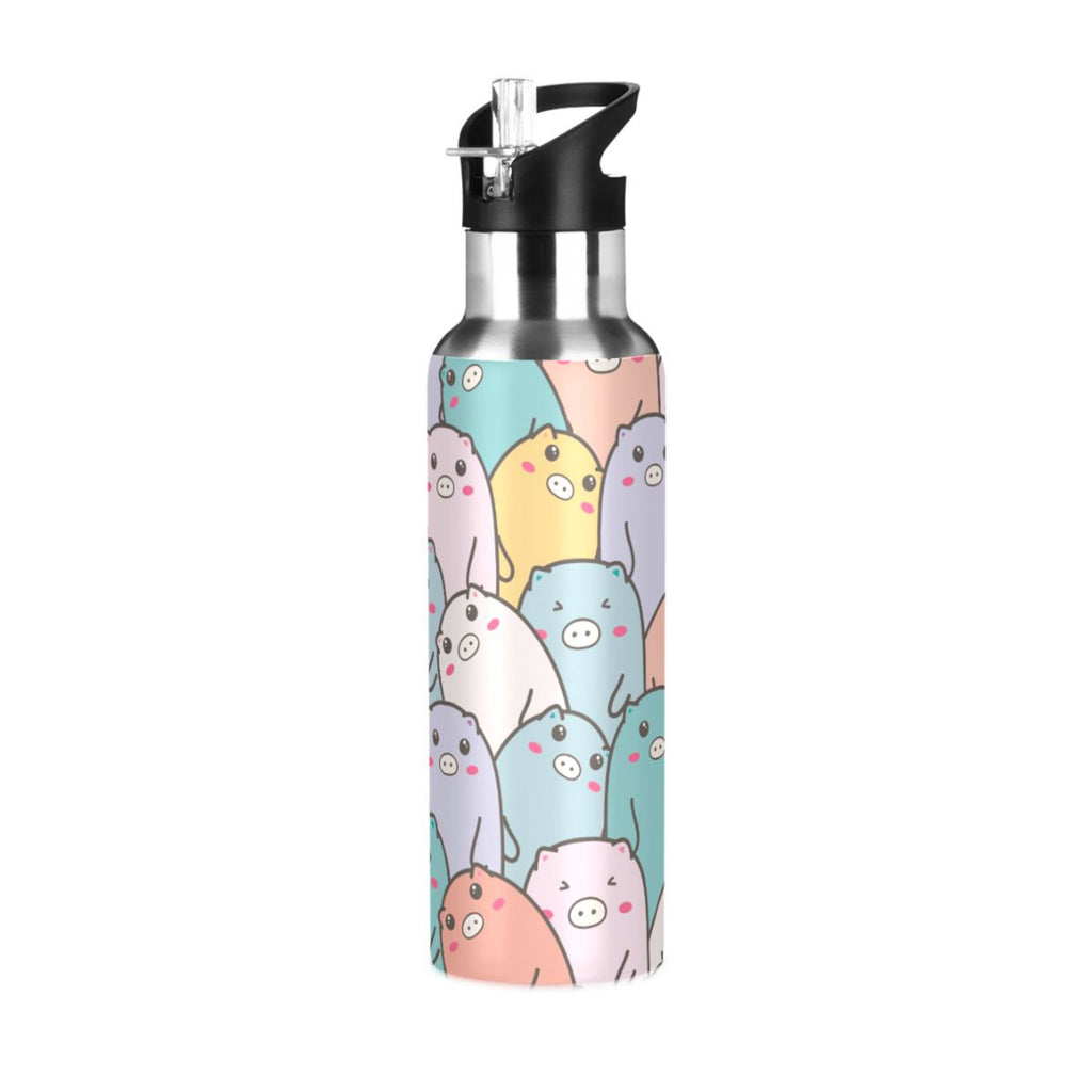 Stainless Steel Vacuum Insulated Water Bottle with Straw Lid 20 OZ O624