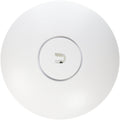 Access Point X8117