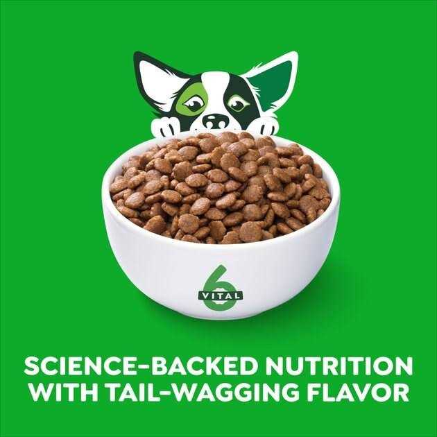 High Protein Real Chicken & Rice Dry Dog Food U7652