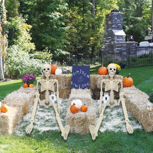 5.4ft/165cm Life Size Skeleton with Movable Joints Z9584