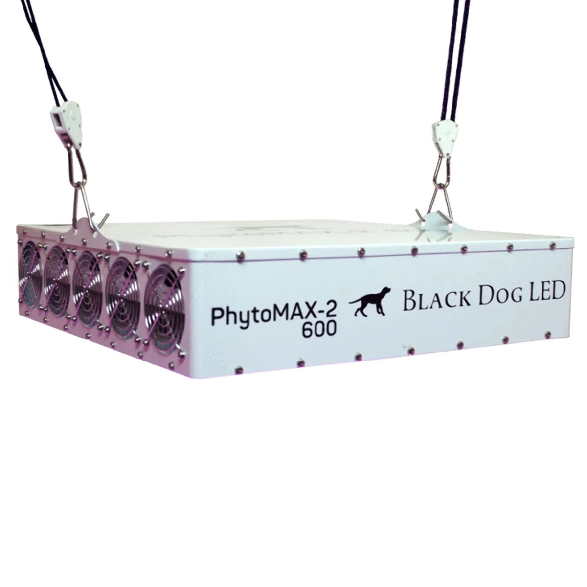 4X4 LED Grow Kit N2334