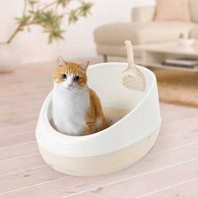 Rimmed Cat Litter Pan V308310