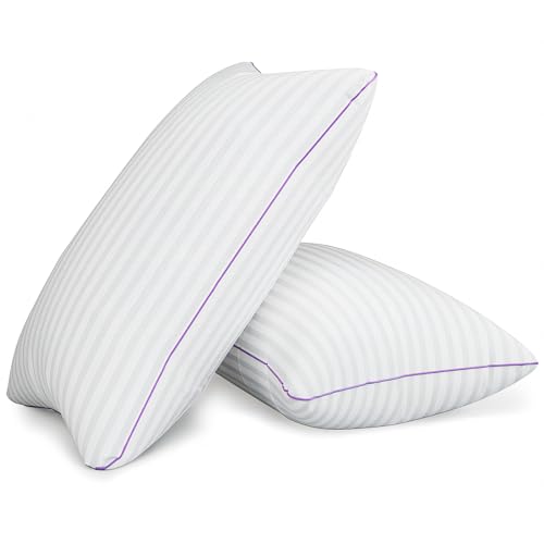 King Size Set of 2 Breathable Down Alternative Microfiber Pillows R369