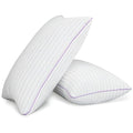 King Size Set of 2 Breathable Down Alternative Microfiber Pillows R369