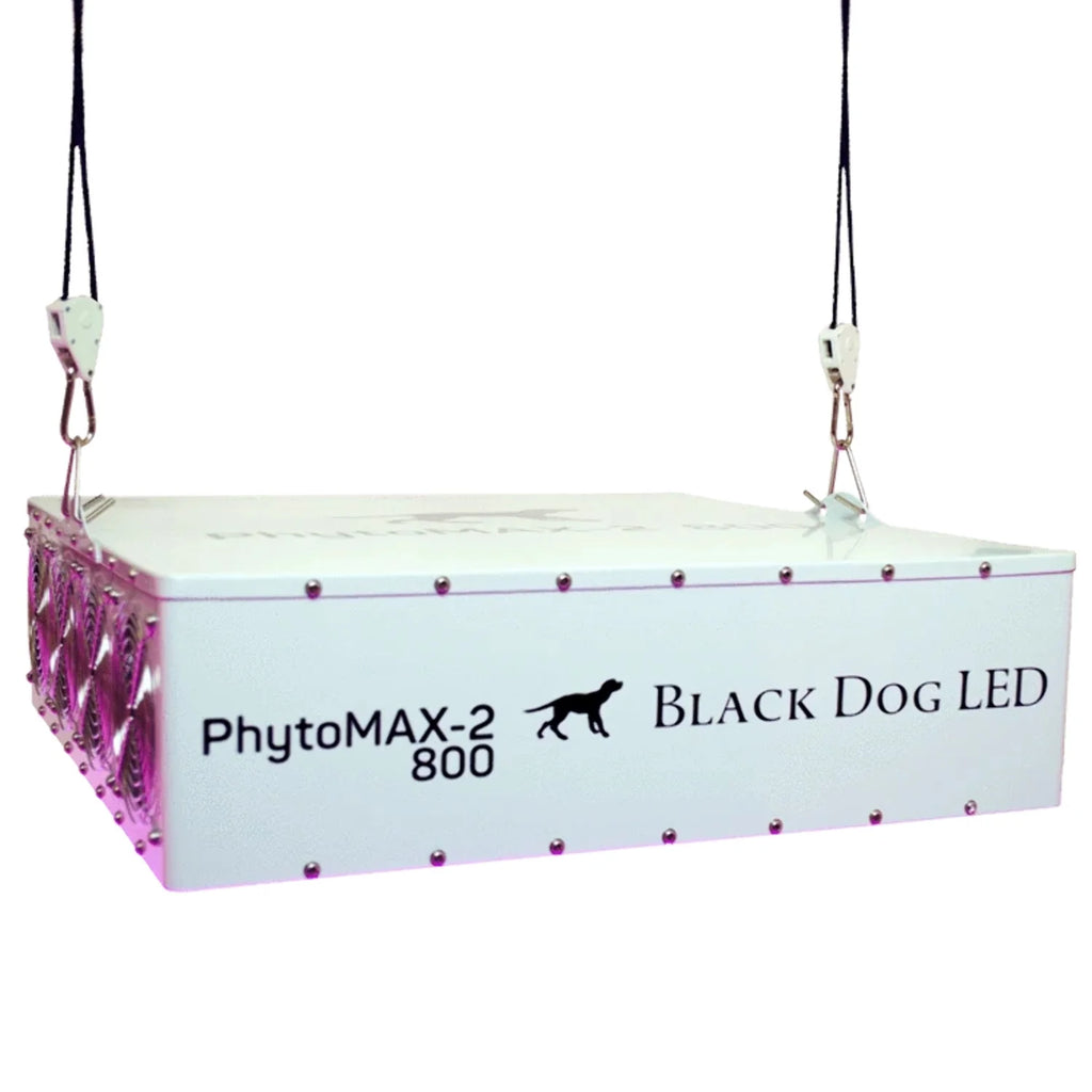 4X4 LED Grow Kit N2334