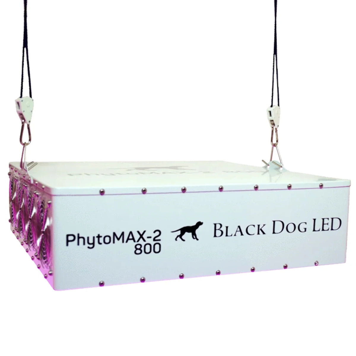 4X4 LED Grow Kit N2334