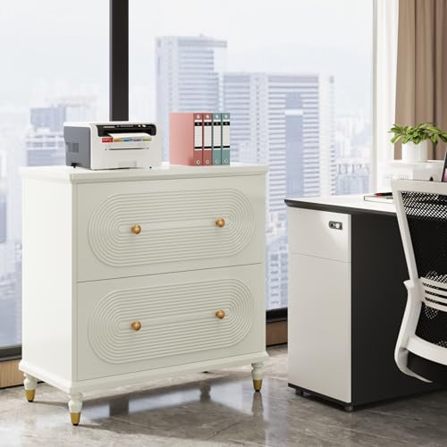 Gray 2-Drawer Wooden File Cabinet Y508