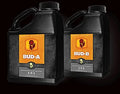 15 Gallon (55L) Bud B A41119
