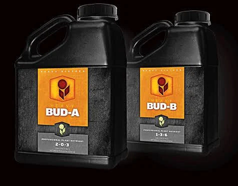 15 Gallon (55L) Bud B A41119
