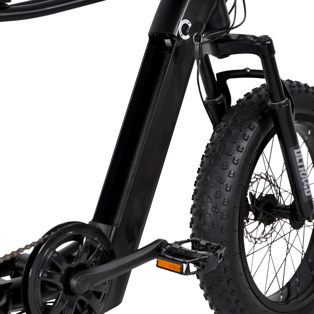 20 36V 250W Electric Bike Matte Black P99804