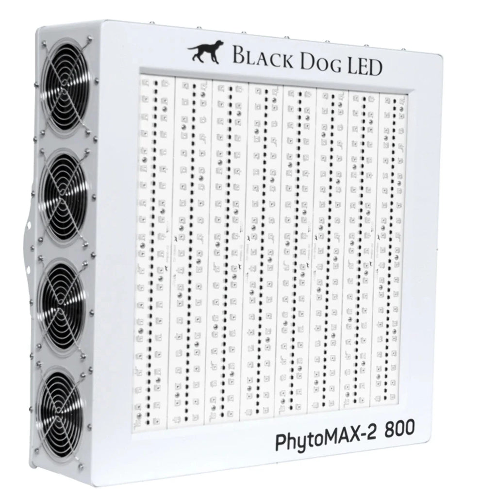 4X4 LED Grow Kit N2334