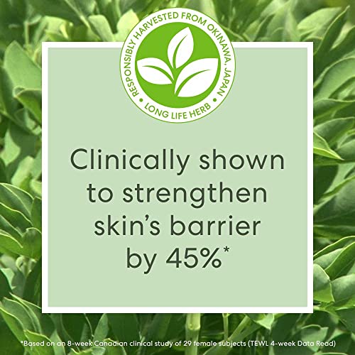 Face Serum Infused with Niacinamide P6844