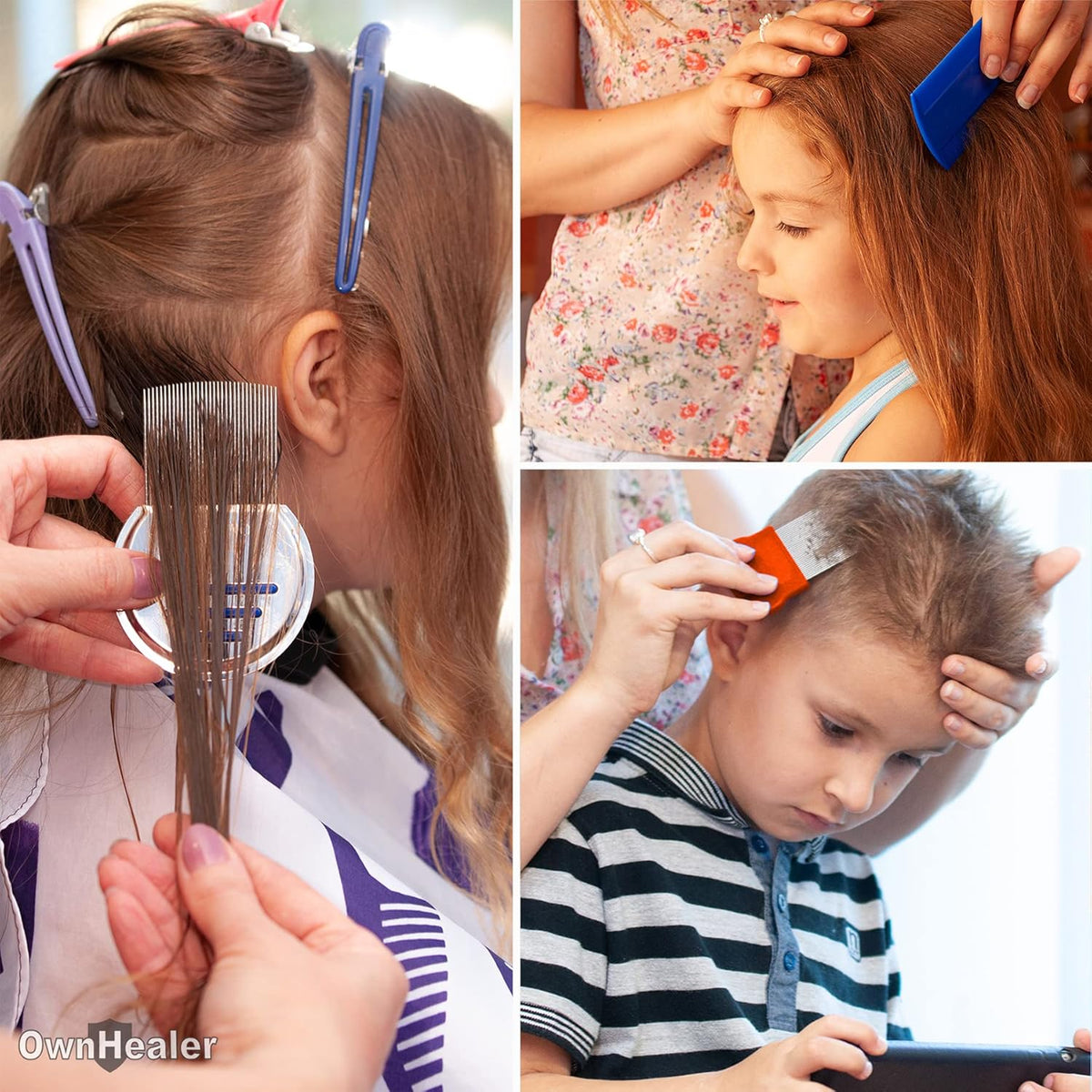 Professional Lice Comb Kit Z64739