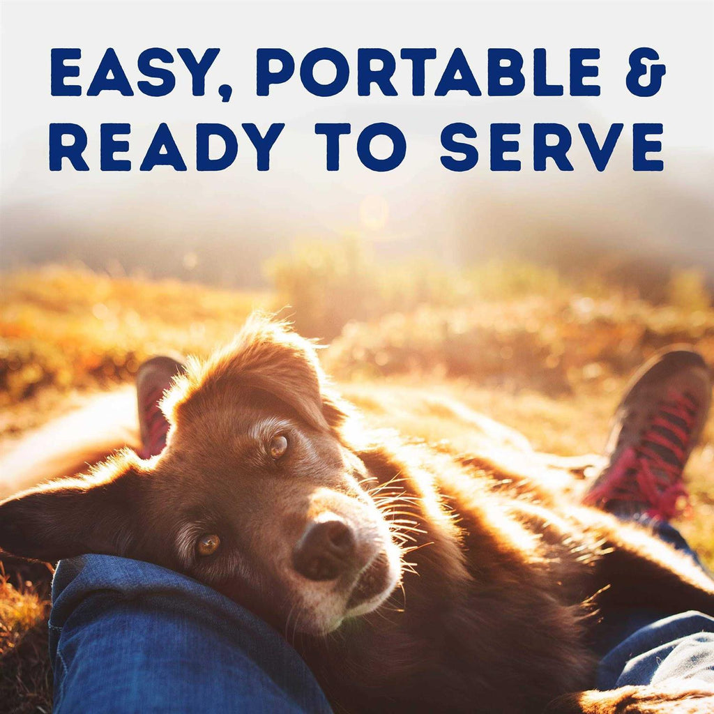 Savory Duck & Pumpkin Recipe Wet Dog Food O36859