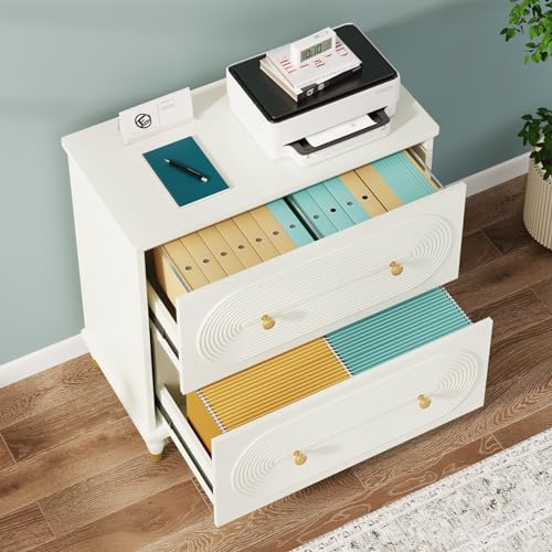 Gray 2-Drawer Wooden File Cabinet Y508