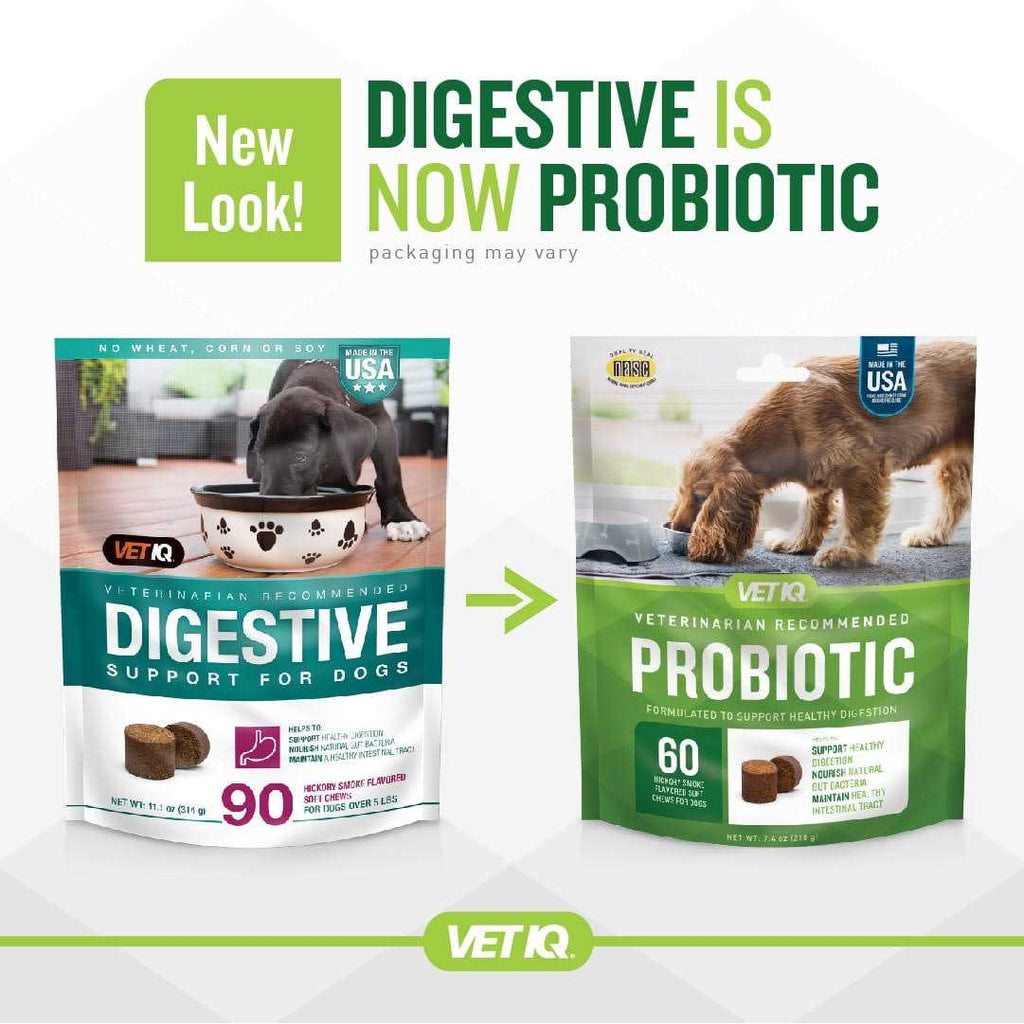 Probiotic Soft Chew Supplement for Dogs I827505