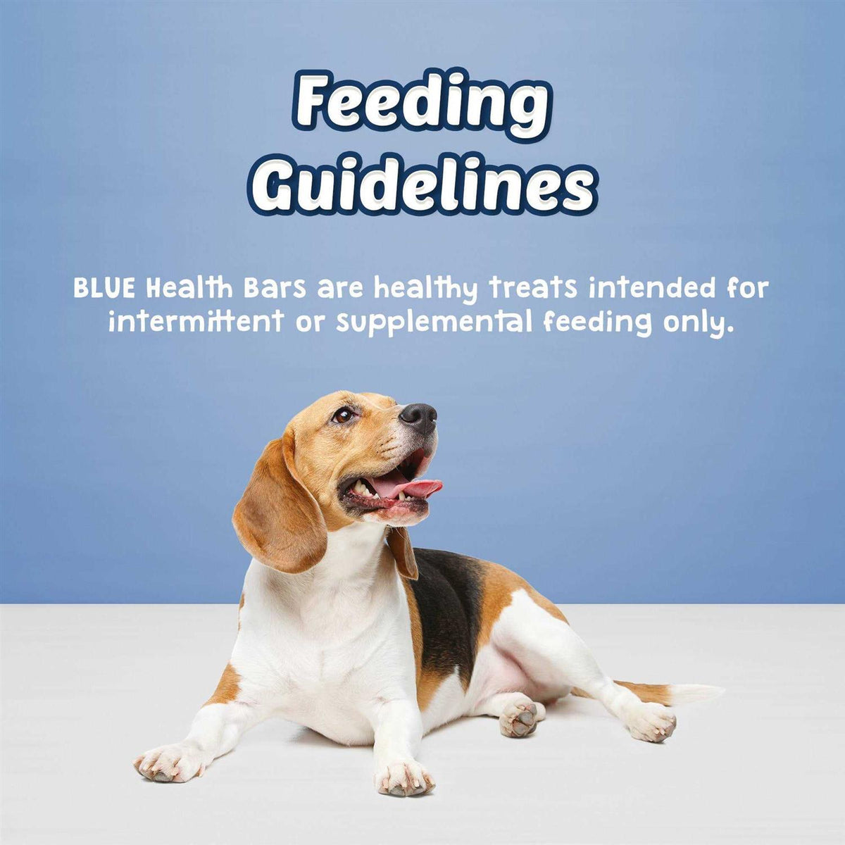 Dog Biscuits B8043