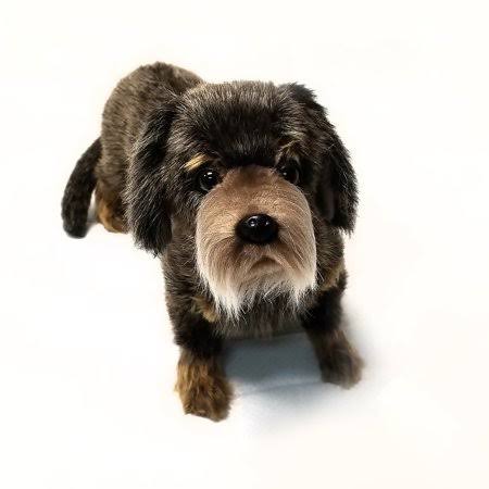 Long Haired Dachshund 13 inch A78334