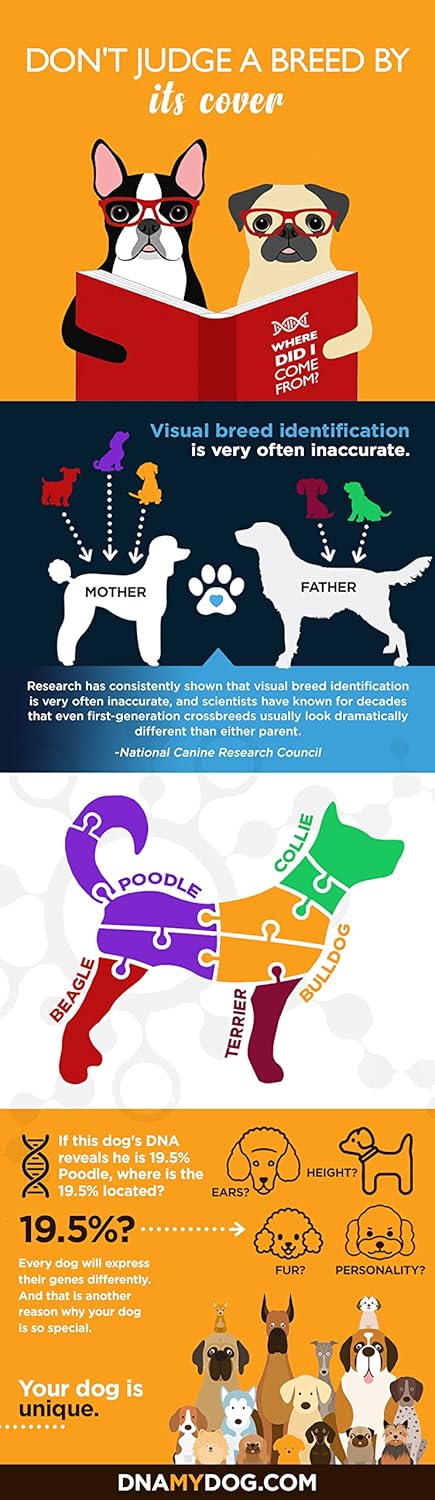 Canine Breed Identification Test G451275