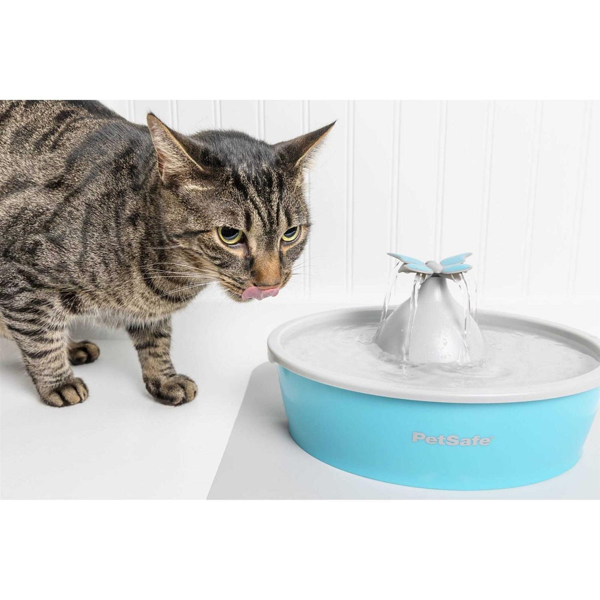 Pet Fountain L60804