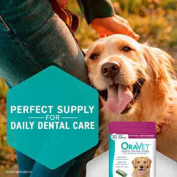 Dental Hygiene Chews Dogs H9979