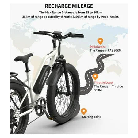 Electric Mountain Bike 750W 48V 13AH Fat Tire T805