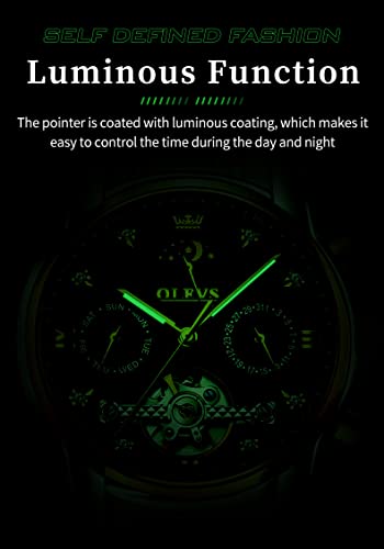 Two Tone Stainless Steel Automatic Dress Watch I11517