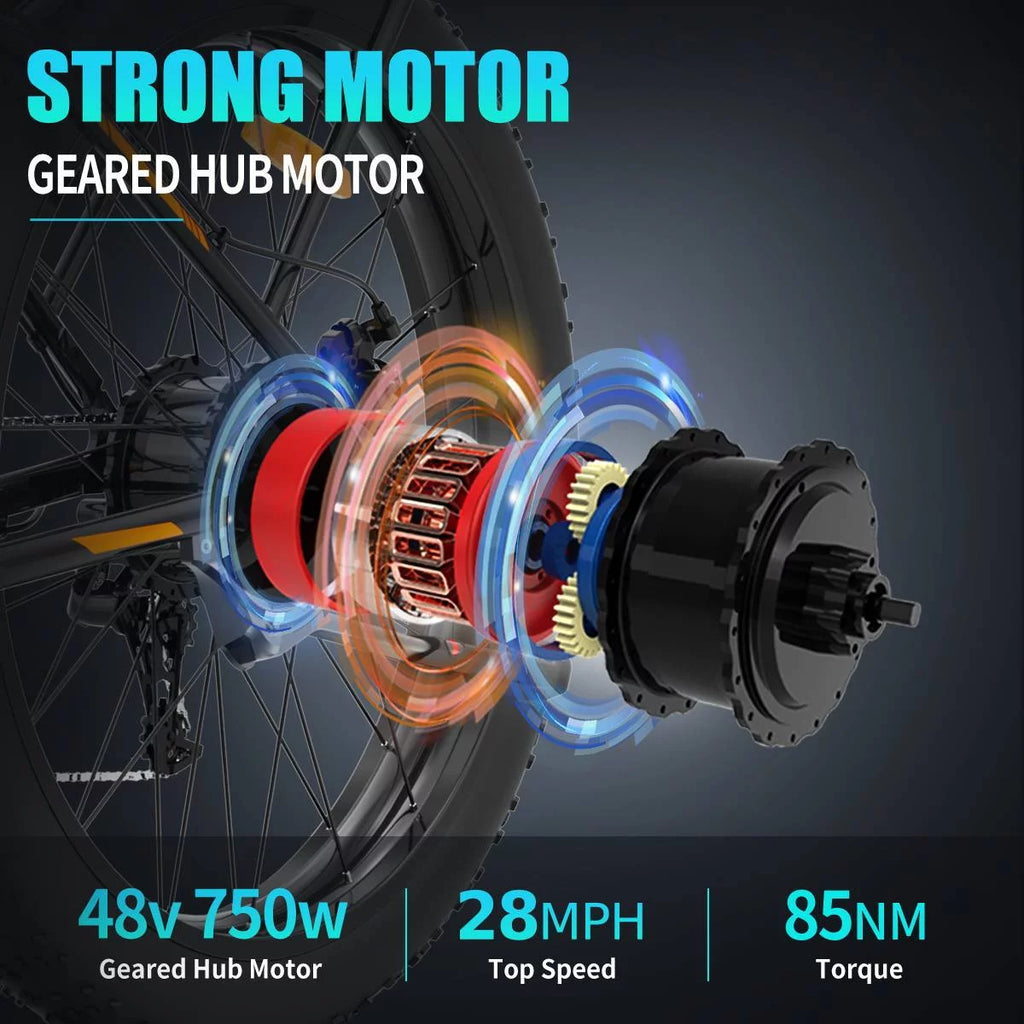 Electric Mountain Bike 750W 48V 13AH Fat Tire T805