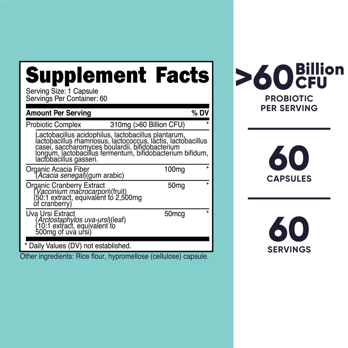 Probiotic Supplement 60 Billion CFU 60 Capsules B135196
