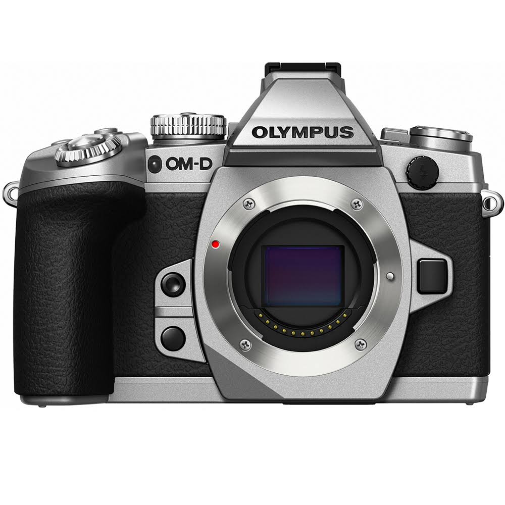 16.3 Megapixel Mirrorless Camera Body Only - Silver D398978