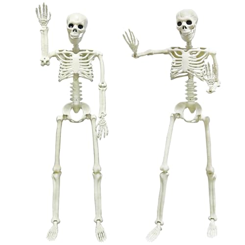 5.4ft/165cm Life Size Skeleton with Movable Joints Z9584