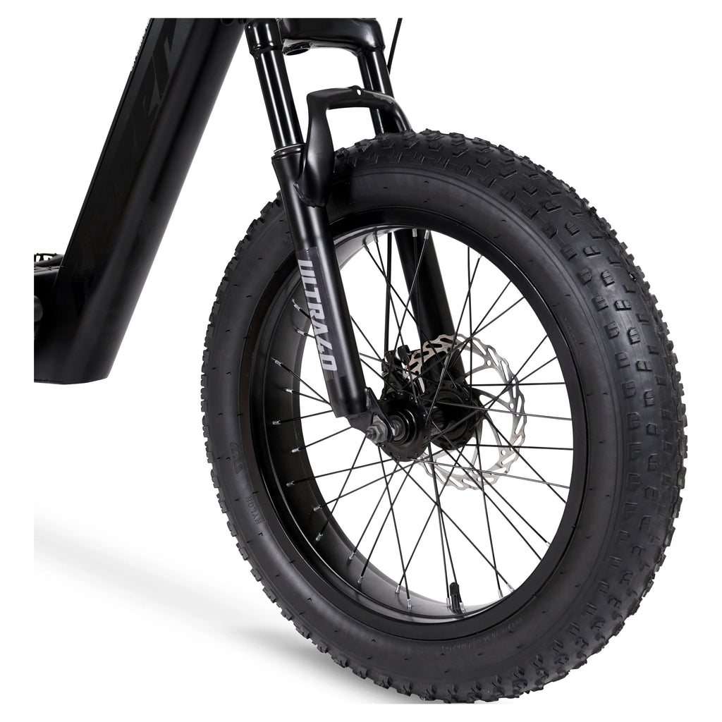 20 36V 250W Electric Bike Matte Black P99804