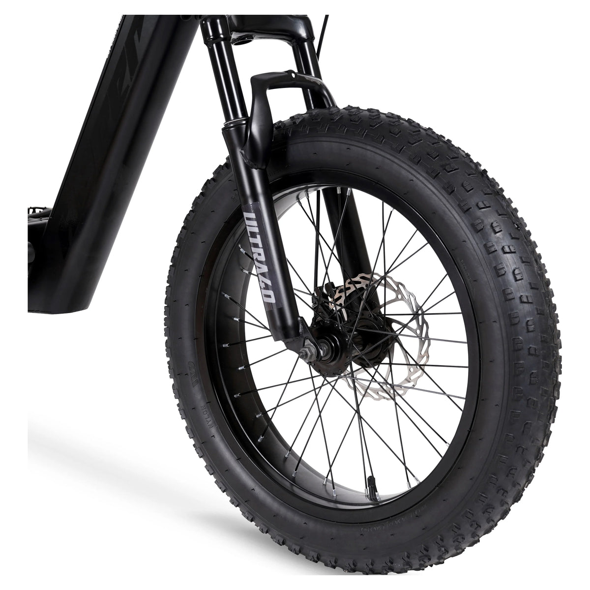 20 36V 250W Electric Bike Matte Black P99804