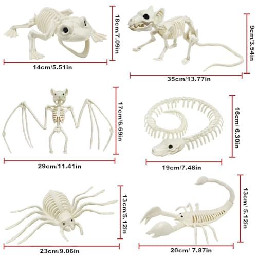 5.4ft/165cm Life Size Skeleton with Movable Joints Z9584