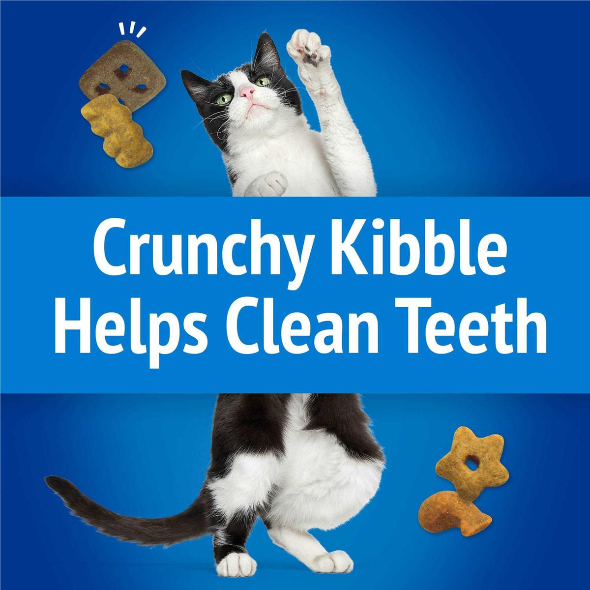 Cat Treats Party Mix Crunch A19283