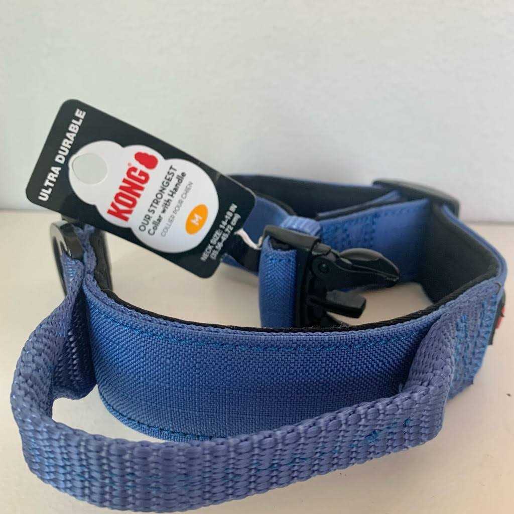 Padded Dog Collar Y64601