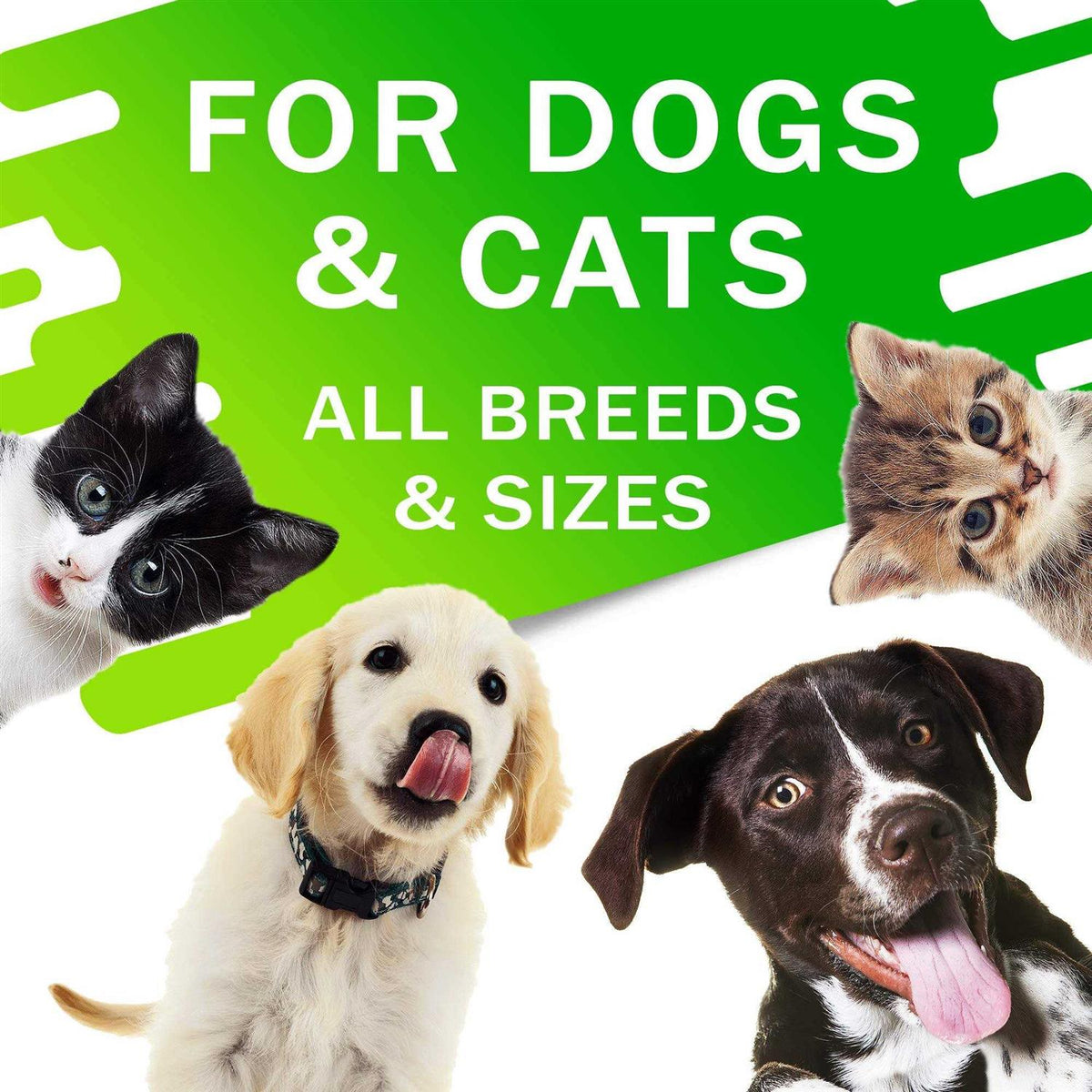 Kennel Cough Drops for Dogs and Cats 2oz Q92884